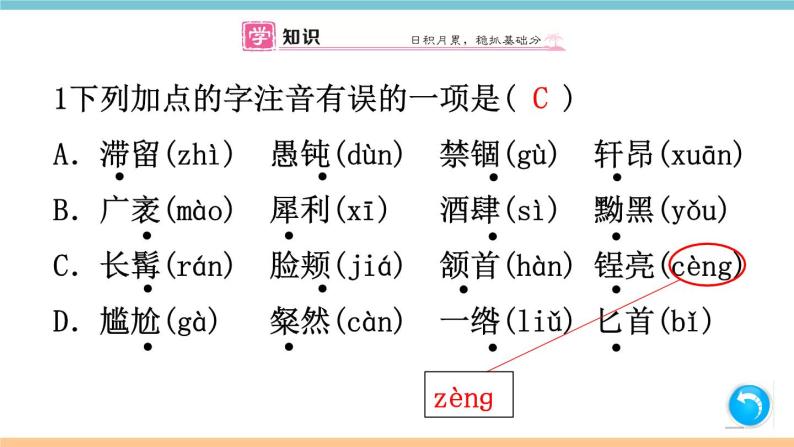 第二单元：8 列夫·托尔斯泰 习题课件（含答案）_部编八上02