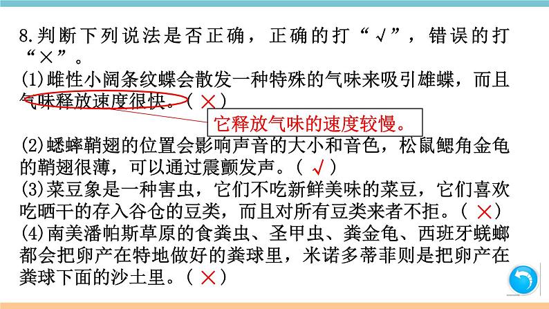 第四单元:名著练习6 习题课件(含答案)_部编八上05