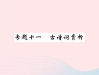 八年级语文下册专题二词语的理解与运用习题课件语文版 (2)