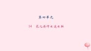 初中语文语文版 (2016)八年级上册（2017）第四单元14 花儿为什么这样红习题课件ppt