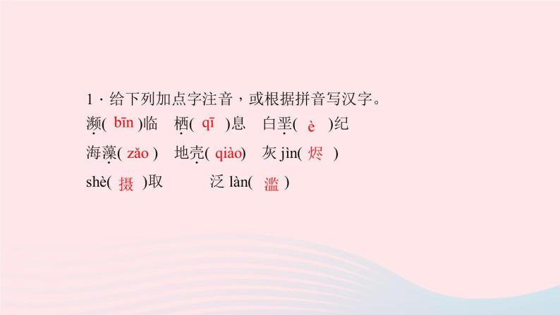 八年级语文上册第四单元15雨林的毁灭——世界性灾难习题课件语文版 (1)03