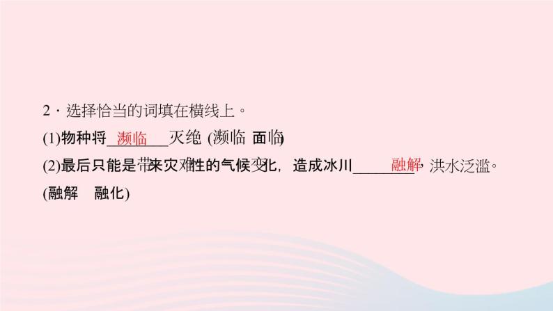 八年级语文上册第四单元15雨林的毁灭——世界性灾难习题课件语文版 (1)04