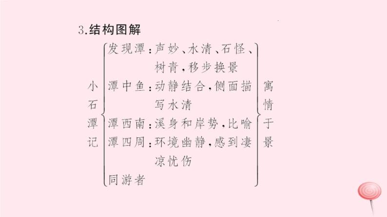 八年级语文上册第五单元19小石潭记习题课件语文版05