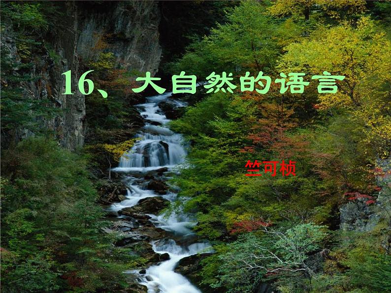 5.《大自然的语言》课件+朗读素材07