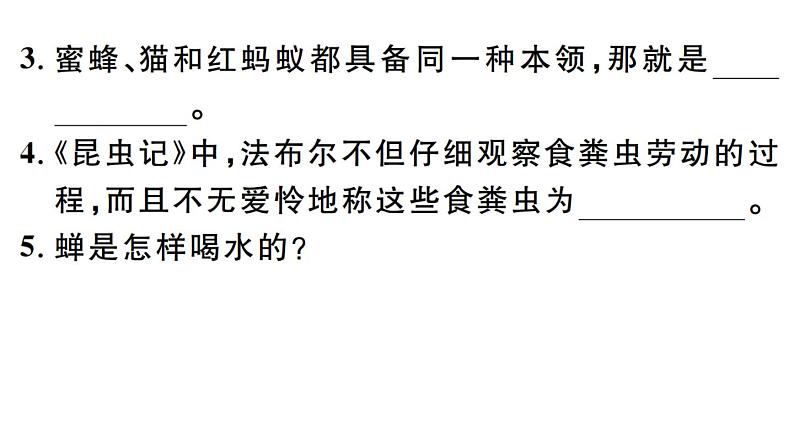 2019-2020学年(新人教版)八年级语文上册第五单元名著导读习题课件03