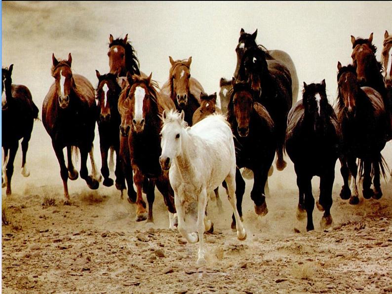 八年级下册语文课件《马说》 人教版(2016部编版) (2)01