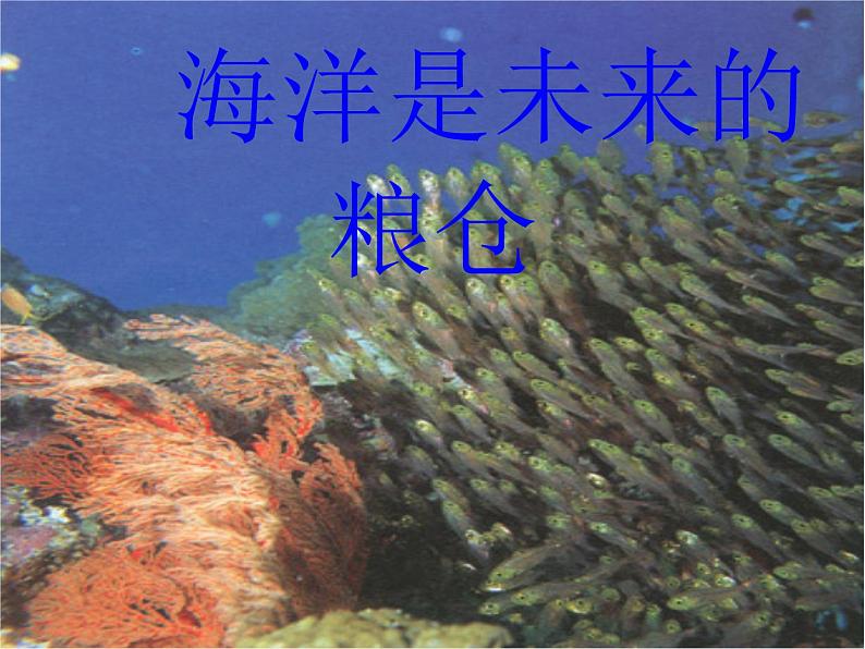 八年级语文上册第五单元第19课《海洋是未来的粮仓》课件(新版)语文版02