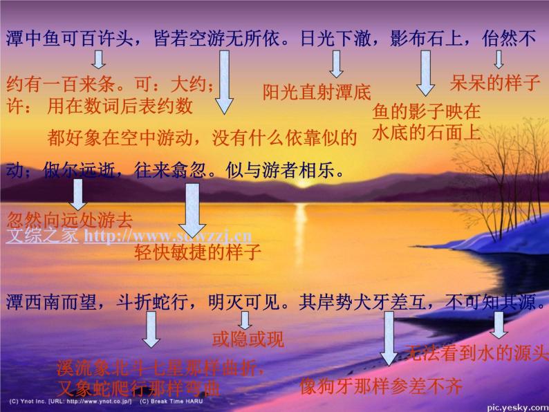 八年级上语文课件小石潭记 (4)_鲁教版04