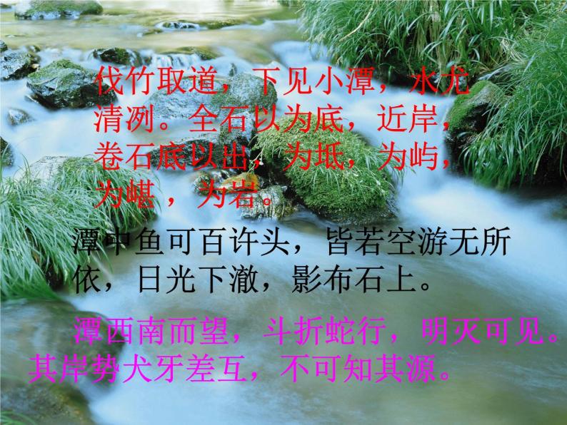 八年级上语文课件小石潭记 (15)_鲁教版08