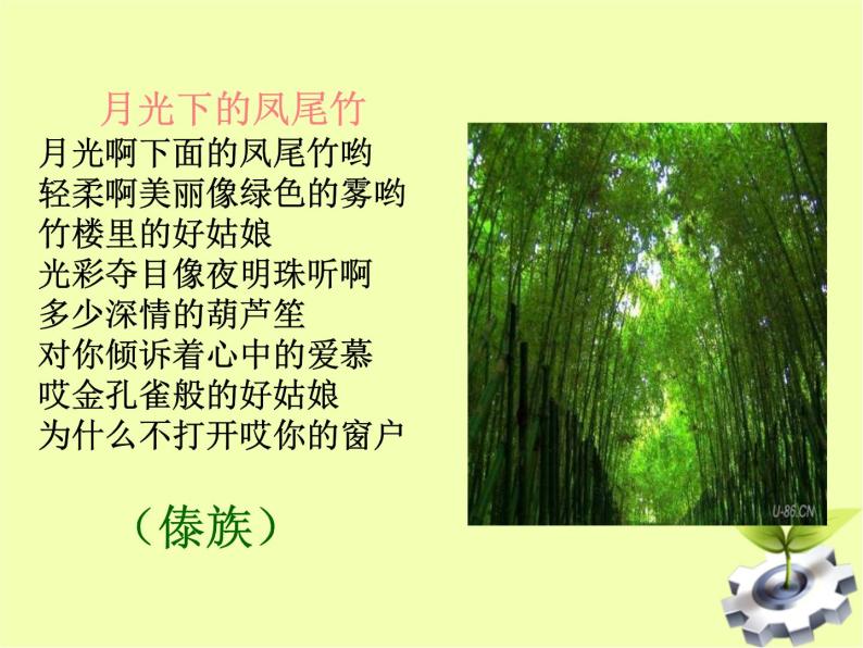 八年级上语文课件云南的歌会 (3)_鲁教版05