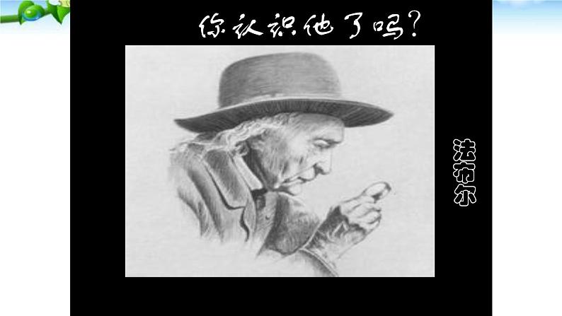 人教版八年级上册语文昆虫记名著导读课件第5页