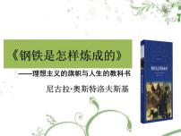 初中语文人教部编版八年级下册名著导读 《钢铁是怎样炼成的》：摘抄和做笔记优秀课件ppt