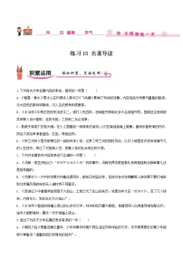 练习15 名著导读-2020-2021学年【补习教材·寒假作业】九年级语文（部编版）