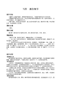 初中语文人教部编版七年级下册第三单元写作 抓住细节优秀教案