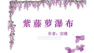初中语文人教部编版七年级下册17 紫藤萝瀑布一等奖课件ppt