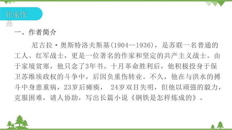 中考语文专项复习名著阅读《钢铁是怎样炼成的》 理想的旗帜与人生教科书 讲练课件04
