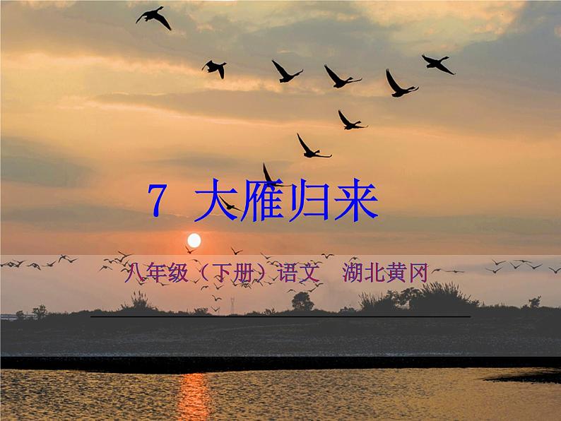 7 大雁归来第1页