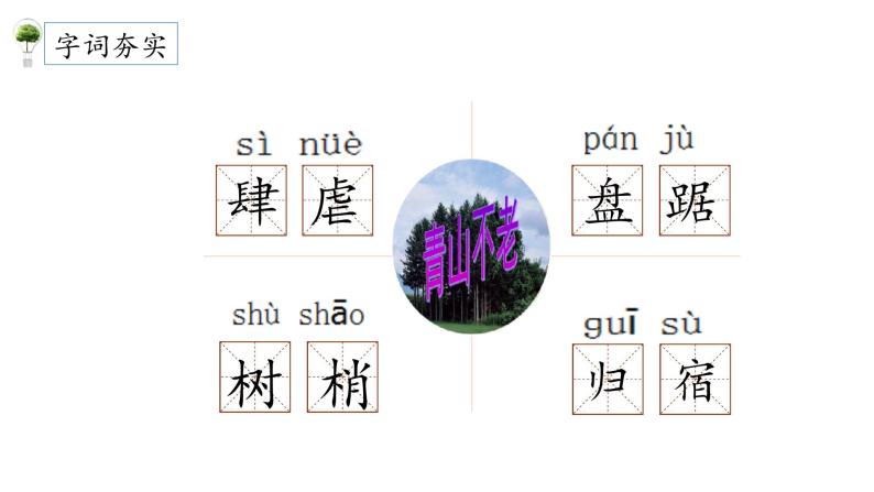 《青山不老》创优公开课一等奖课件04