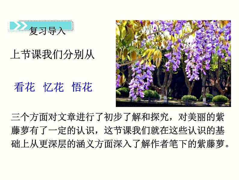 【教学课件】部编版语文七年级下册第5单元18 紫藤萝瀑布 第二课时第3页