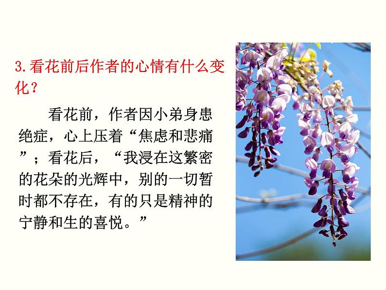 【教学课件】部编版语文七年级下册第5单元18 紫藤萝瀑布 第二课时第6页