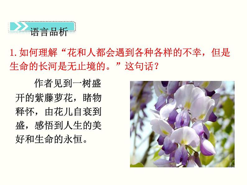 【教学课件】部编版语文七年级下册第5单元18 紫藤萝瀑布 第二课时第7页