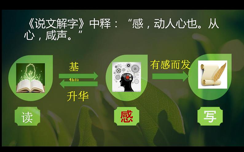 《学写读后感》优课教学课件04