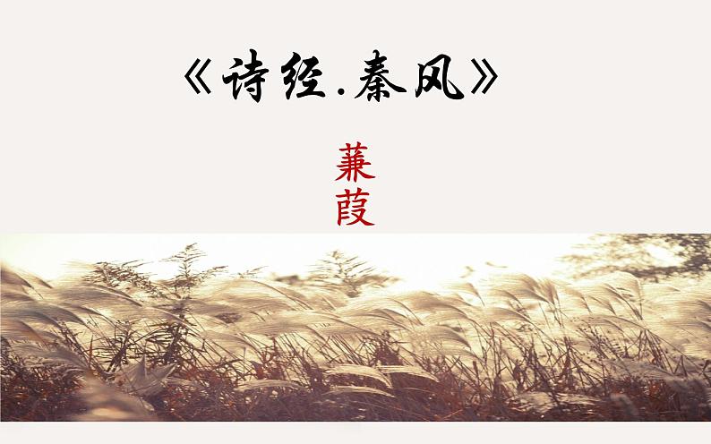 《蒹葭》公开课优课课件01