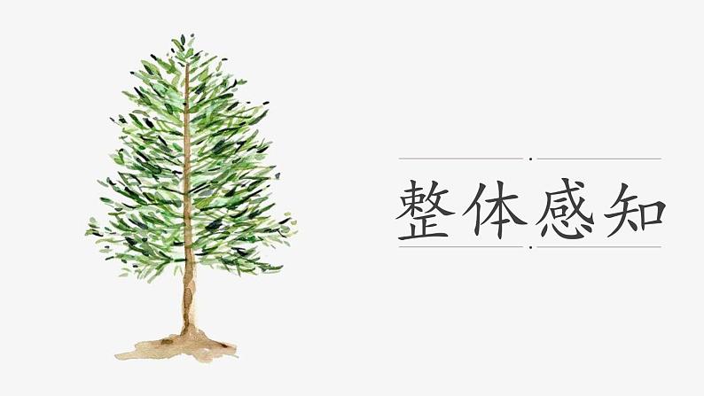 《植树的牧羊人》创优公开课一等奖课件06