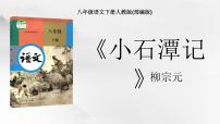 初中语文人教部编版八年级下册10 小石潭记说课课件ppt