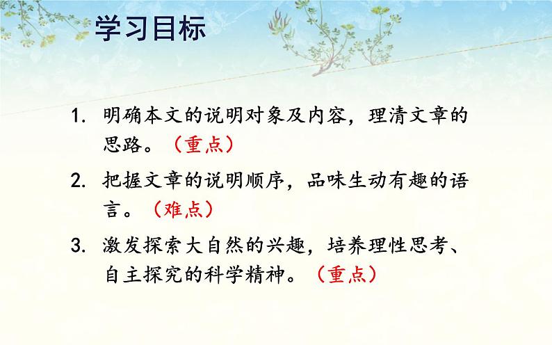 《时间的脚印》优课课件08