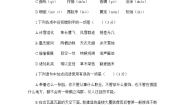 初中语文人教部编版八年级下册第二单元单元综合与测试单元测试同步训练题