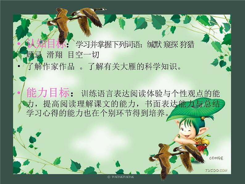 7*大雁归来课件第4页