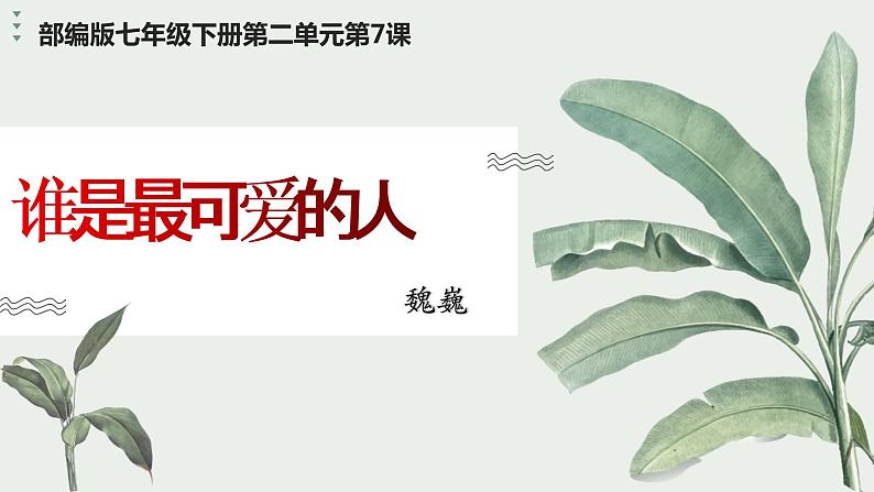第7课《谁是最可爱的人》课件02