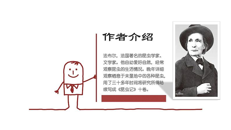 人教部编版八年级语文上册第二十课蝉 精品课件第4页