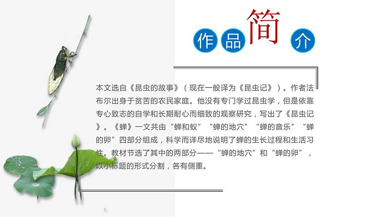 人教部编版八年级语文上册第二十课蝉 精品课件第5页