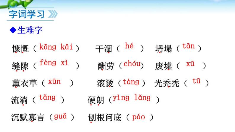 14、植树的牧羊人 课件07