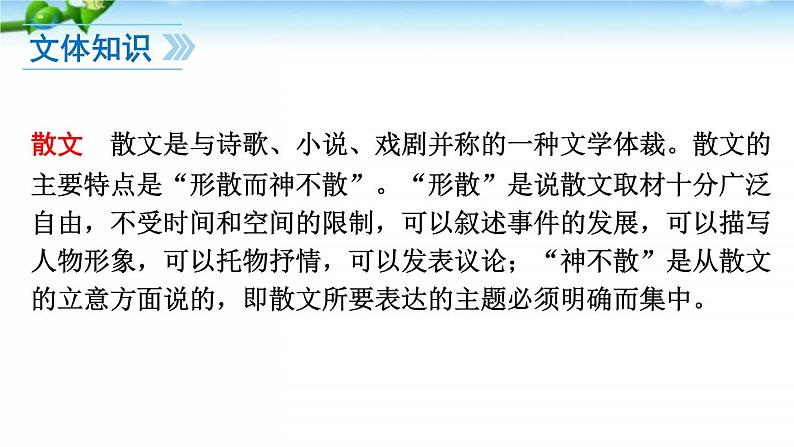 6、散步 课件06
