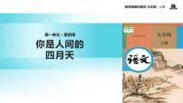 初中语文人教部编版九年级上册4 你是人间的四月天教学ppt课件