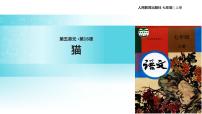 初中语文人教部编版七年级上册16 猫教学ppt课件