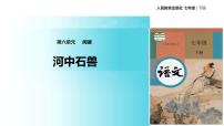初中语文人教部编版七年级下册25 河中石兽教学ppt课件