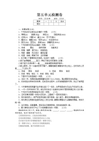 初中语文人教部编版八年级下册第五单元单元综合与测试课时练习