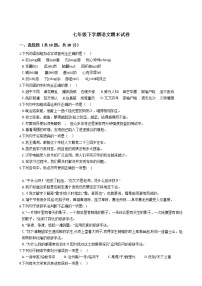 黑龙江省齐齐哈尔市七年级下学期语文期末试卷