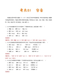 考点01 字音-备战2021年中考语文考点一遍过教案