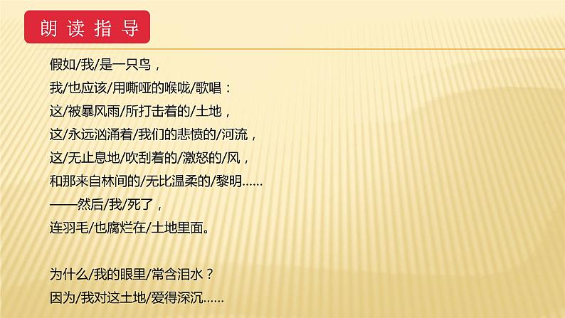 人教版语文九年级上册第一单元2《我爱这土地》课件PPT05