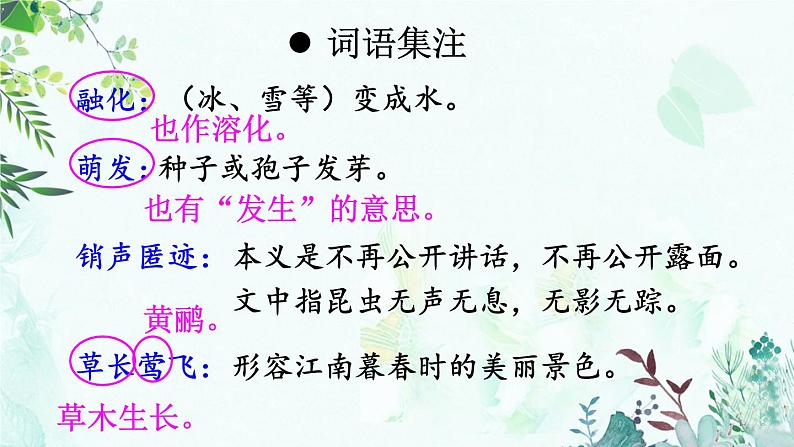 5 大自然的语言第8页