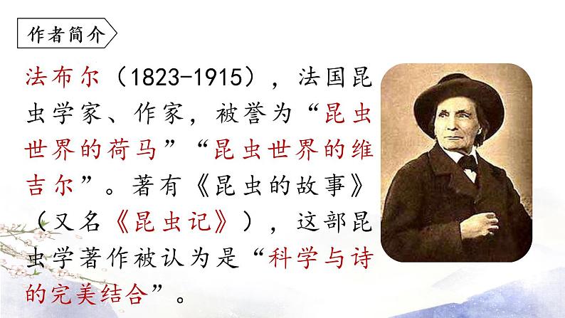 第5单元 名著导读:《昆虫记》课件 2021--2022学年部编版八年级语文上册06