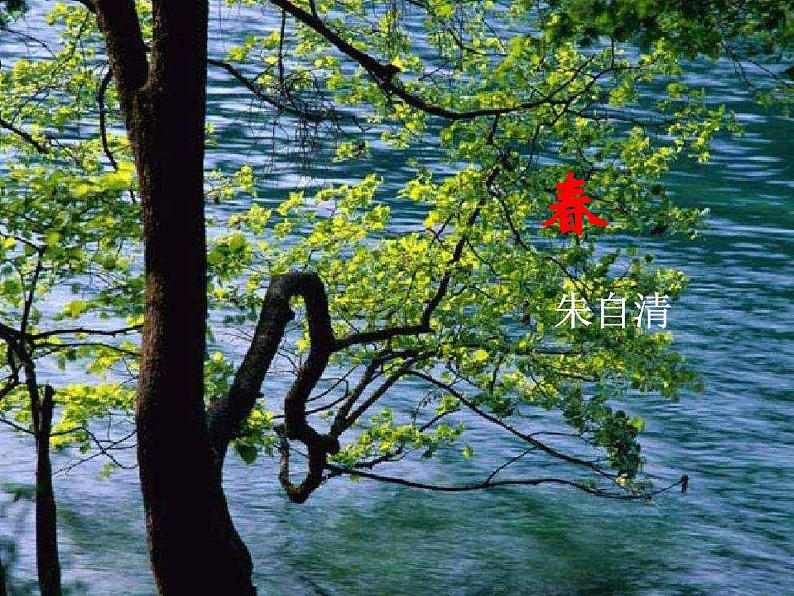 人教部编语文七年级上 春5 课件02