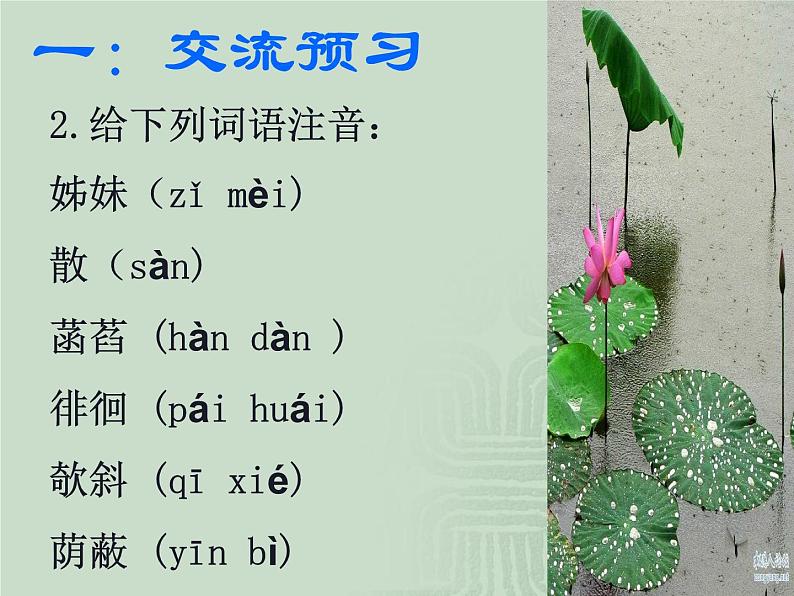 人教部编语文七年级上 荷叶 母亲4 课件第3页
