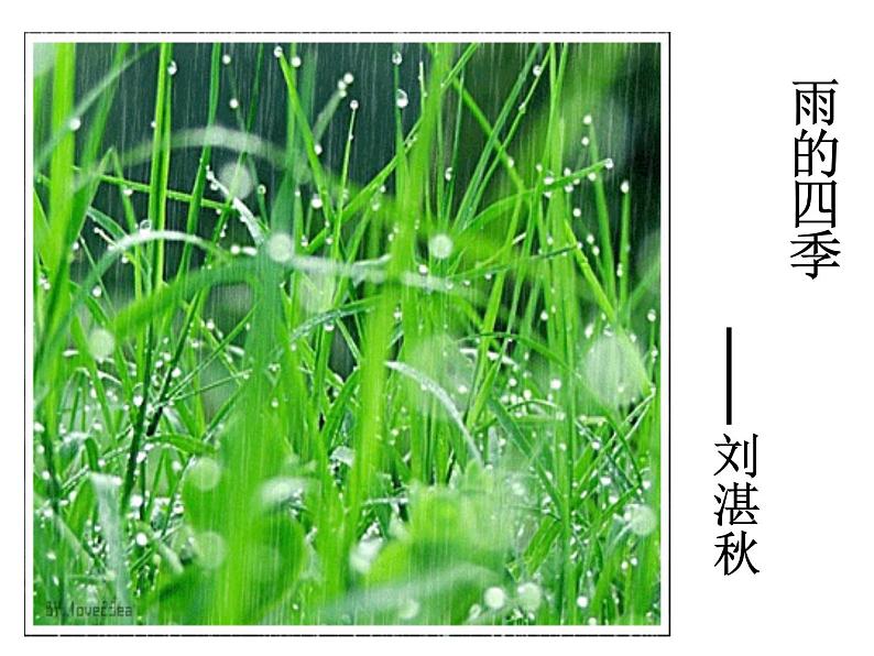 人教部编语文七年级上 雨的四季3 课件01
