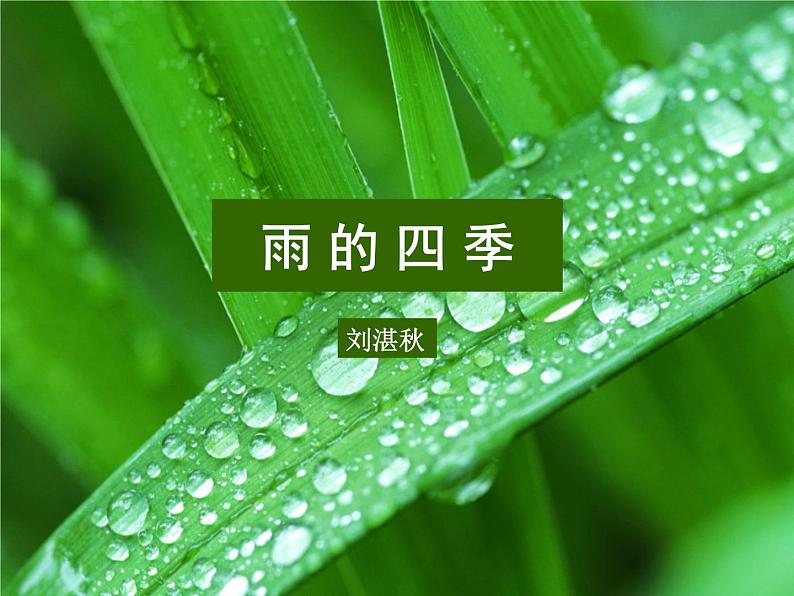 人教部编语文七年级上 雨的四季2 课件第1页